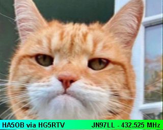 sstv image